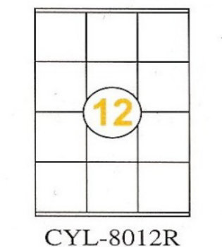 A4 Computer Label (12pcs borderless) (CYL-8012)